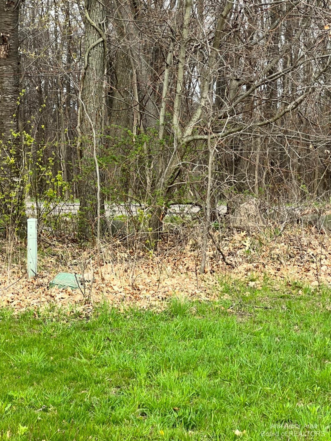 0 Hankerd Road Pleasant Lake, MI 49272 - Photo 9 of 11 Photo 9
