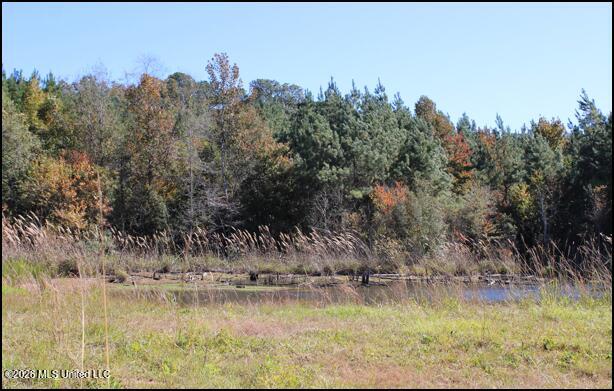 4056 Gibson Road McComb, MS 39648 - Photo 14 of 21 Screenshot 2026-05-26 143244