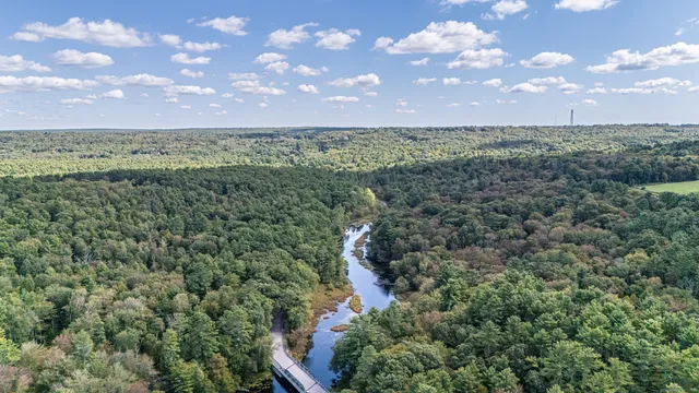 a view of a lake with a tree