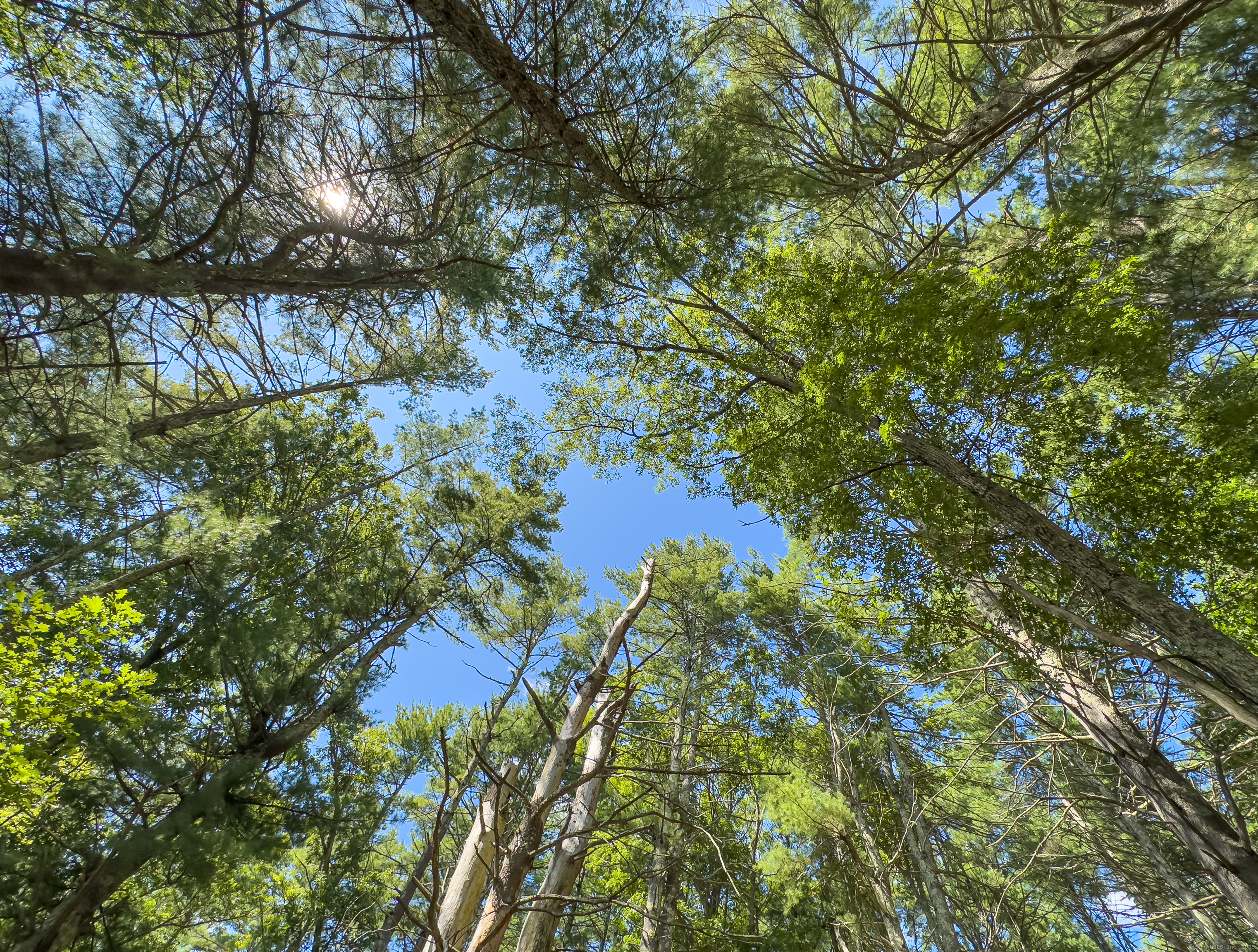 49 Stone Road Killingly, CT 06241 - Photo 12 of 20