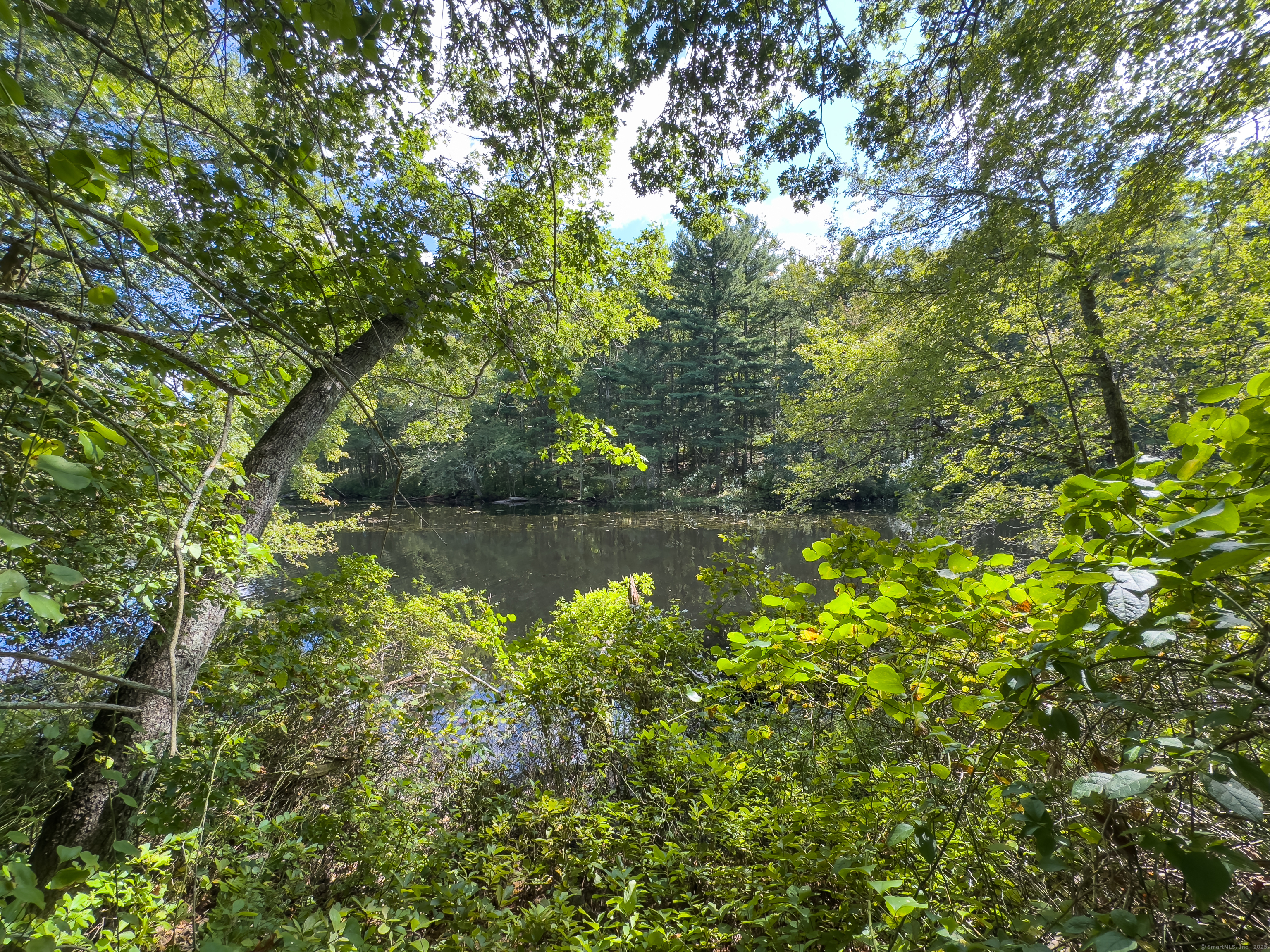 49 Stone Road Killingly, CT 06241 - Photo 13 of 20 a view of a lake with a tree