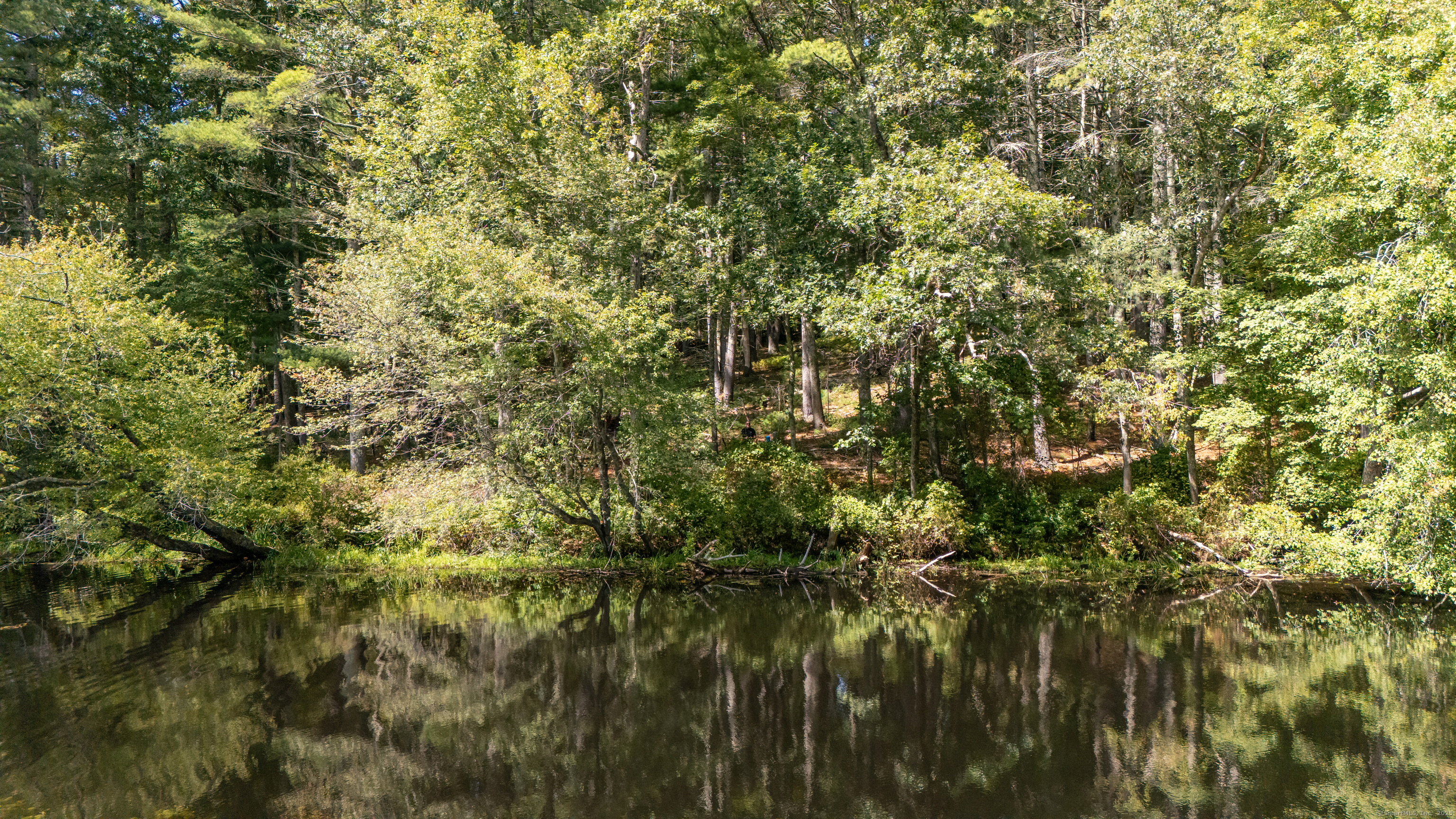 49 Stone Road Killingly, CT 06241 - Photo 20 of 20 a view of a yard