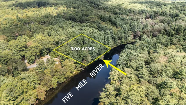 a view of a tree in a yard