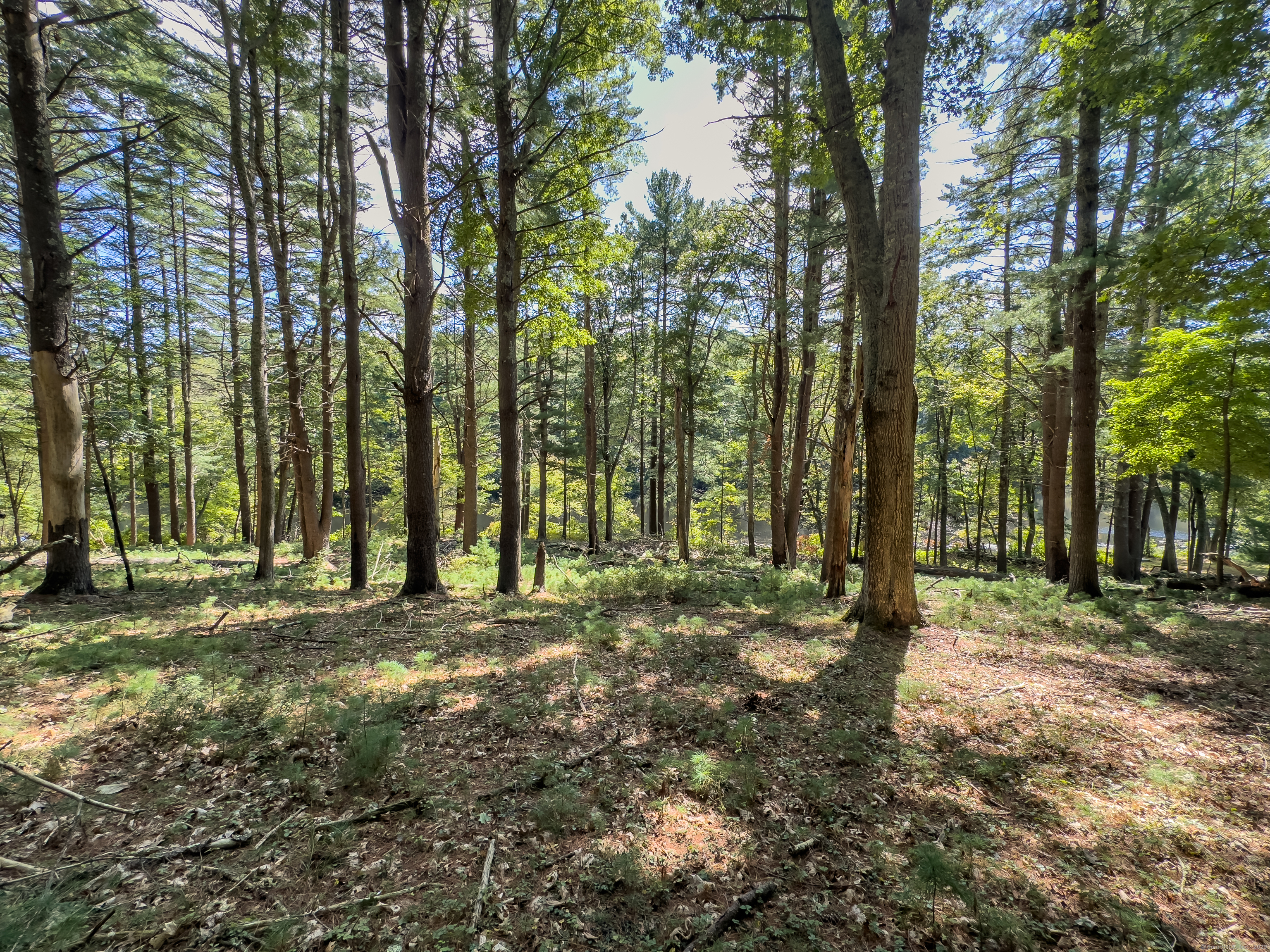 49 Stone Road Killingly, CT 06241 - Photo 6 of 20 a view of outdoor space with trees