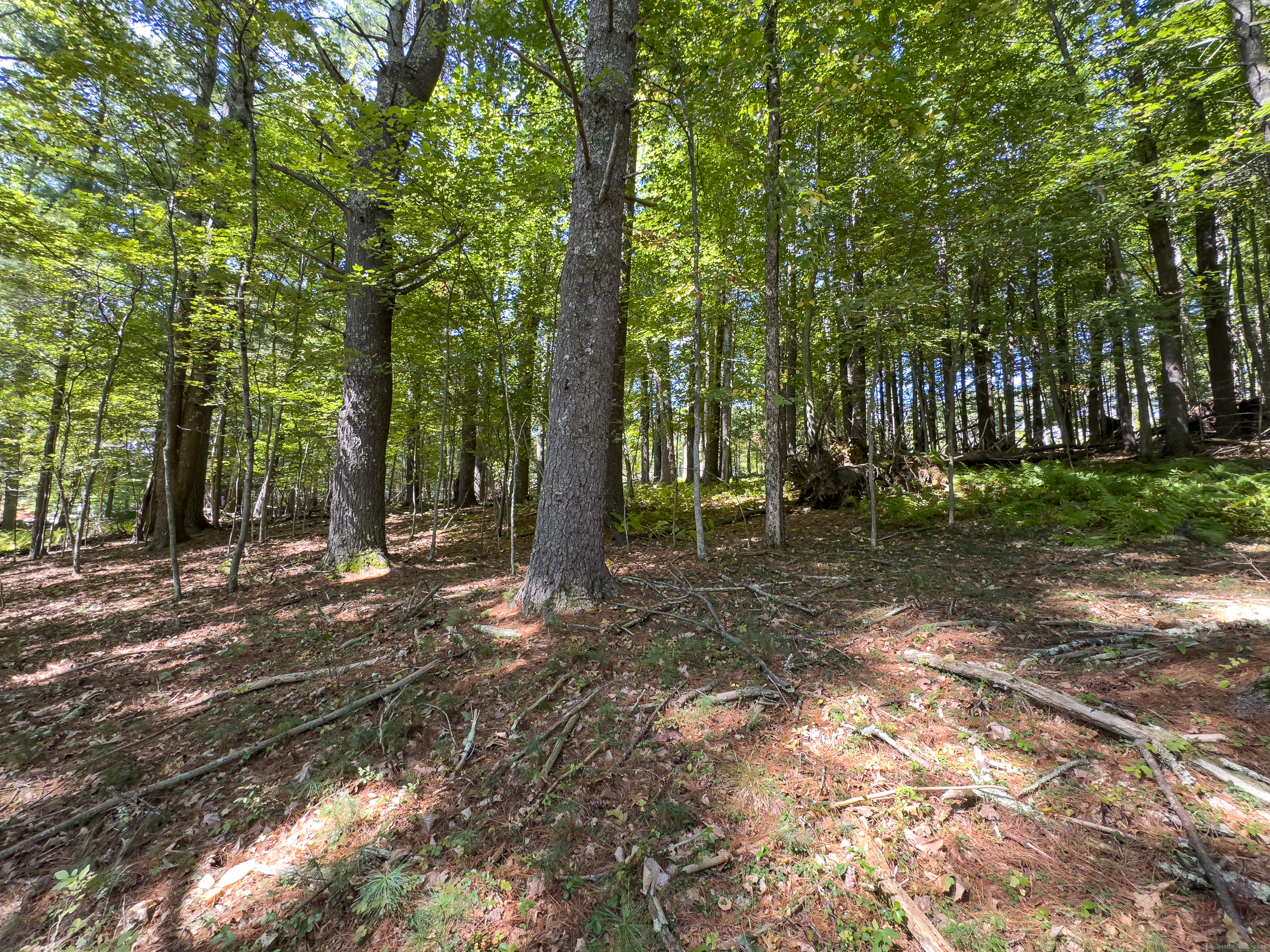 49 Stone Road Killingly, CT 06241 - Photo 7 of 20 a backyard of a house with lots of green space