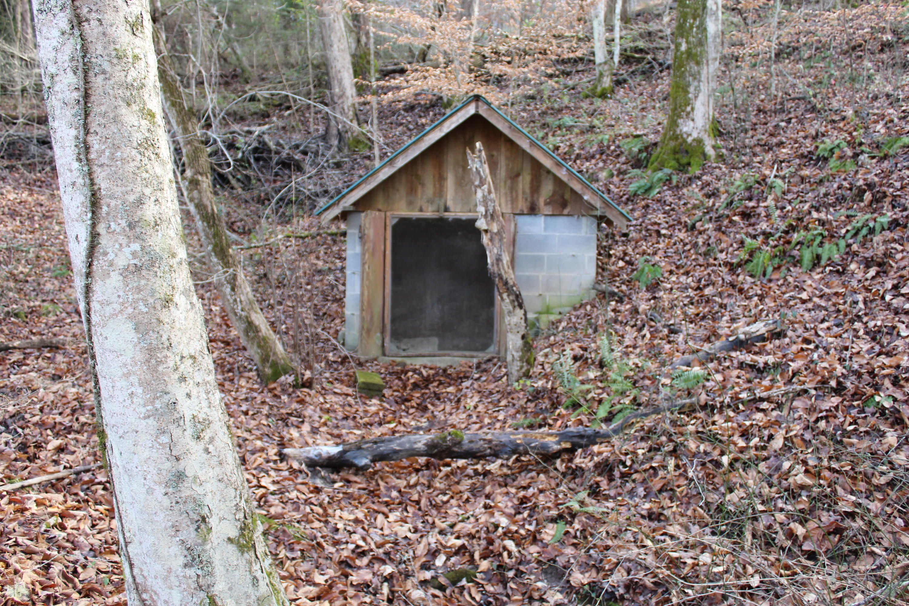 5311 Cracker Neck Road Washburn, TN 37888 - Photo 8 of 34 IMG_0049