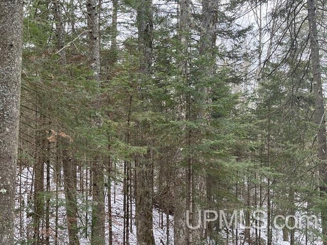545 South Rd Skandia Mi 49885 Road Skandia, MI 49885 - Photo 20 of 38