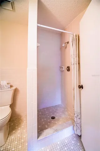 a bathroom with a shower and a toilet
