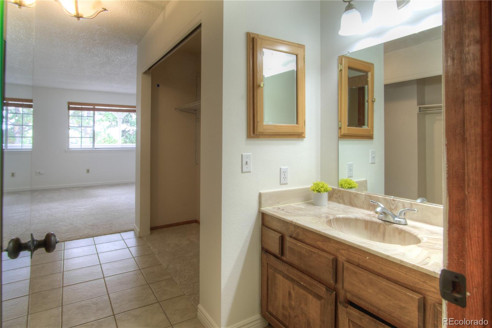 10385 East Red Mountain Road Littleton, CO 80127 - Photo 17 of 47 a bathroom with a sink a vanity and a mirror