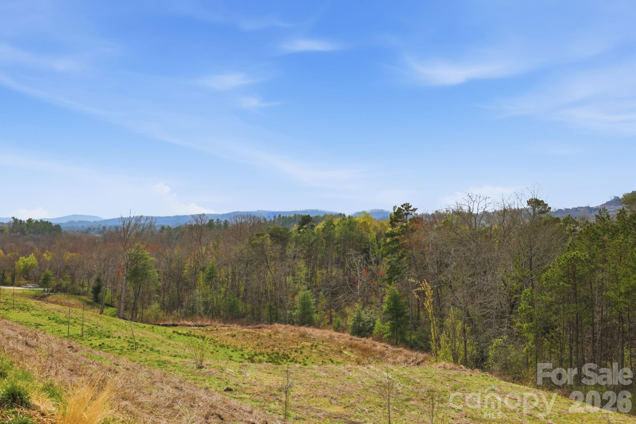 265 Fox Cove Road Hendersonville, NC 28792 - Photo 36 of 45