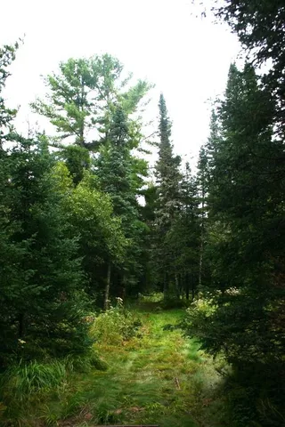 $599,000 | 12279 Stangle Road, Butternut, WI 54514