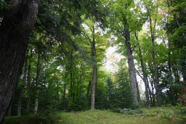 $599,000 | 12279 Stangle Road, Butternut, WI 54514