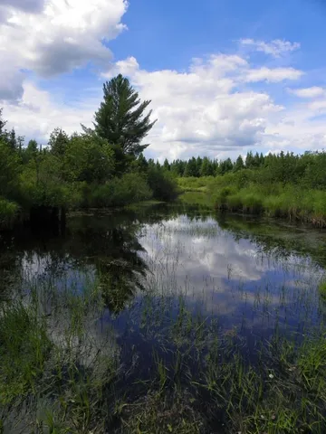 $599,000 | 12279 Stangle Road, Butternut, WI 54514