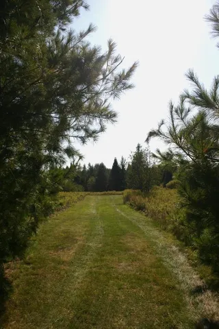 $599,000 | 12279 Stangle Road, Butternut, WI 54514