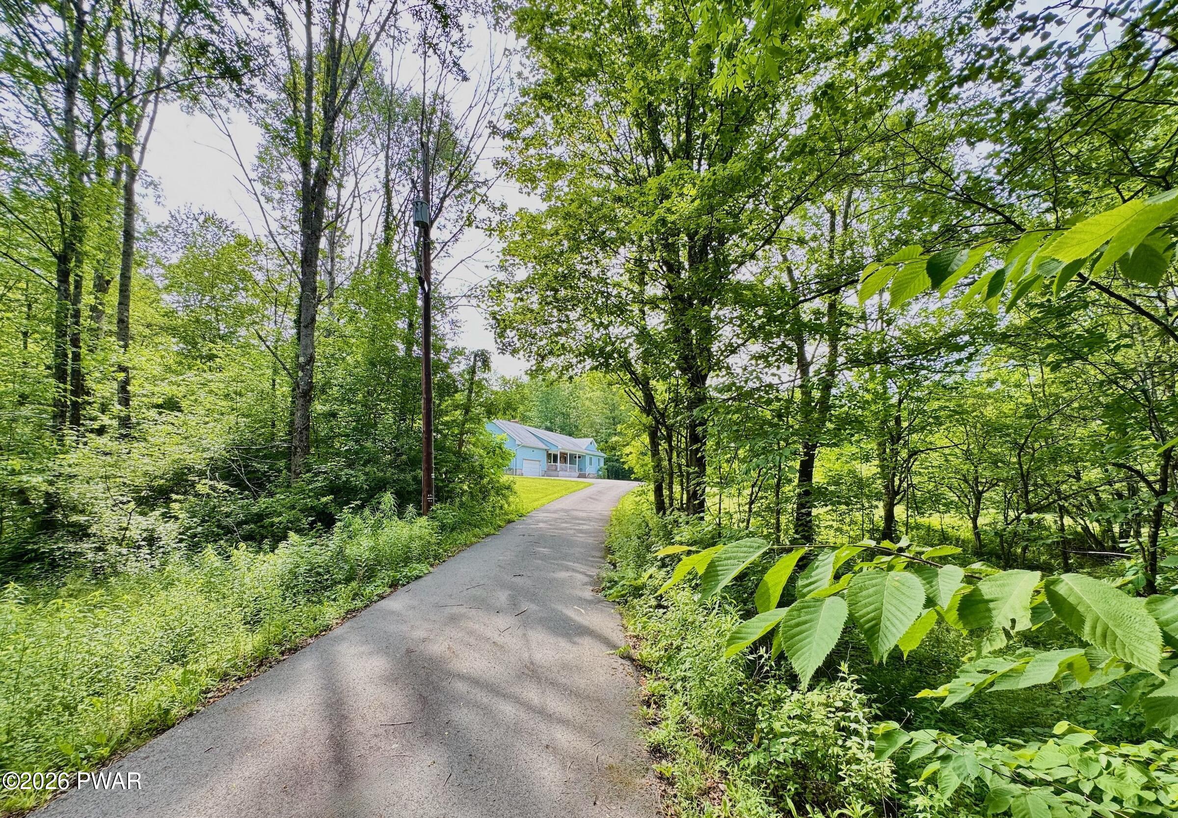 61 Murphy Hill Road Pleasant Mount, PA 18453 - Photo 5 of 66