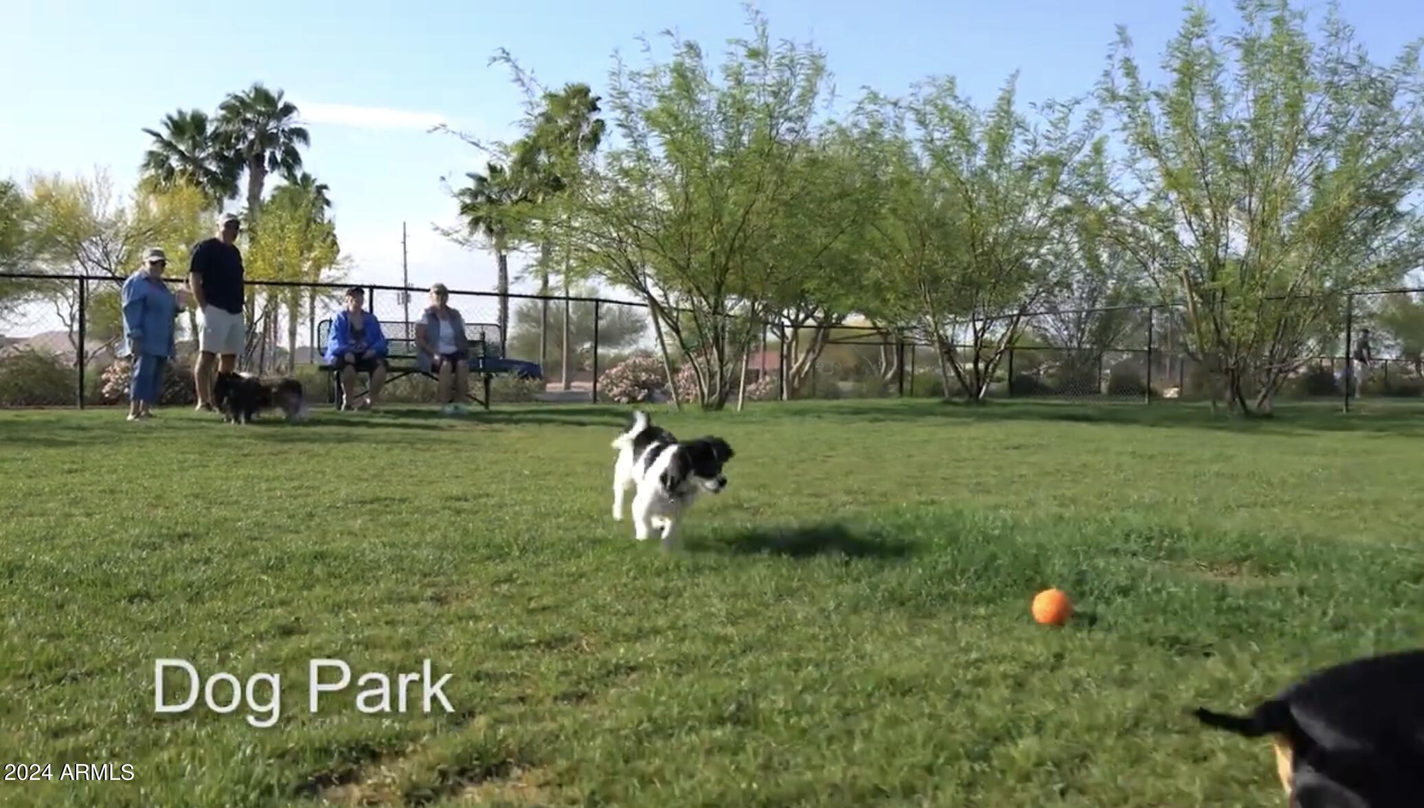 16915 West Granada Road Goodyear, AZ 85395 - Photo 28 of 39 Dog Park