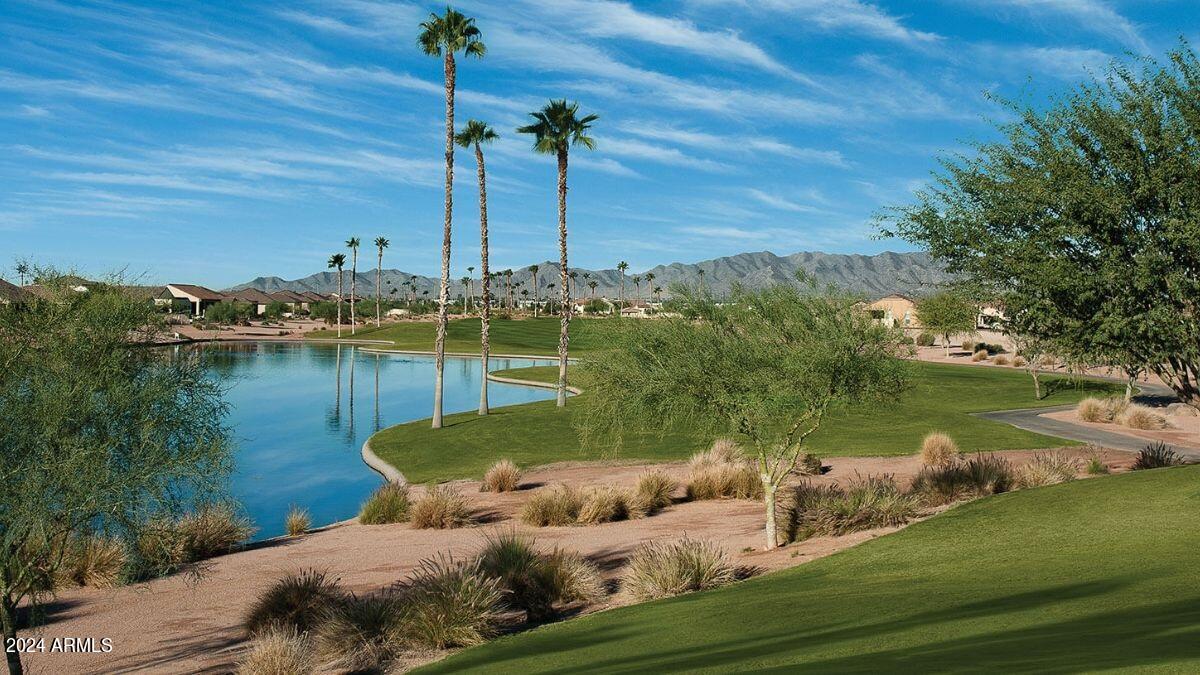 16915 West Granada Road Goodyear, AZ 85395 - Photo 39 of 39 PebbleCreek view2