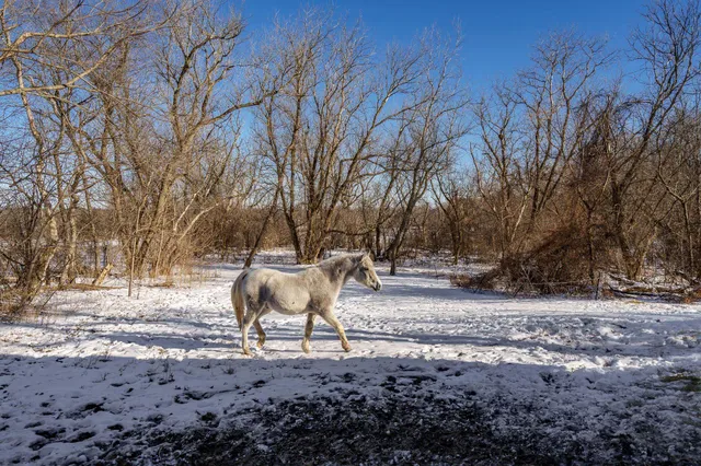 $450,000 | 11447 South County Rd K, Beloit, WI 53511