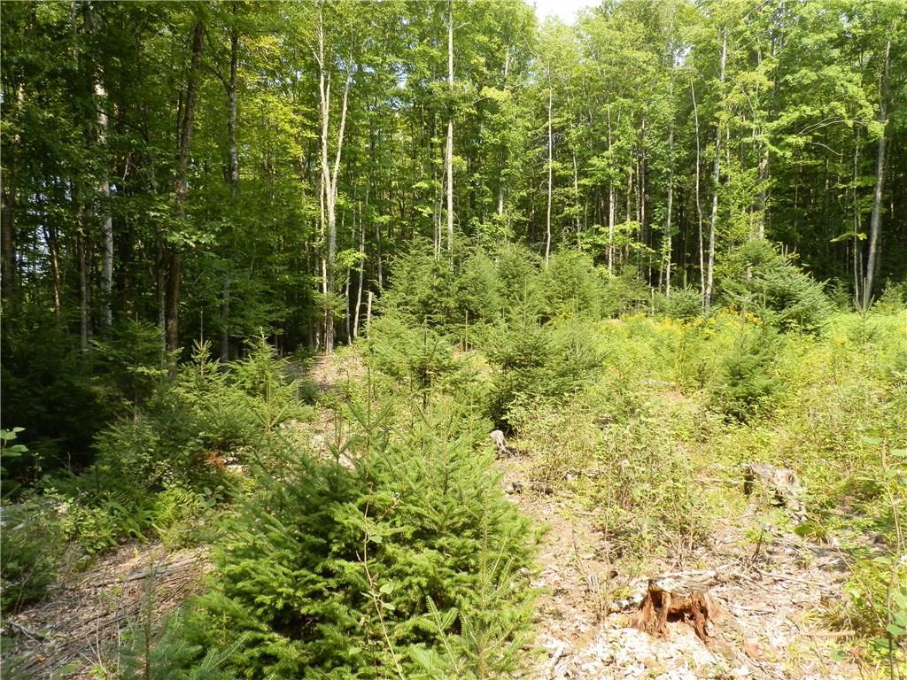 Lot 15 Pullen Road Garland, ME 04939 - Photo 9 of 19 Photo