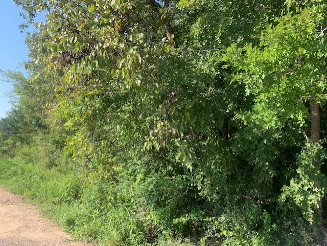 701 Blackshear Street Navasota, TX 77868 - Photo 2 of 7