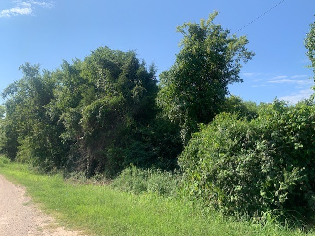 701 Blackshear Street Navasota, TX 77868 - Photo 3 of 7