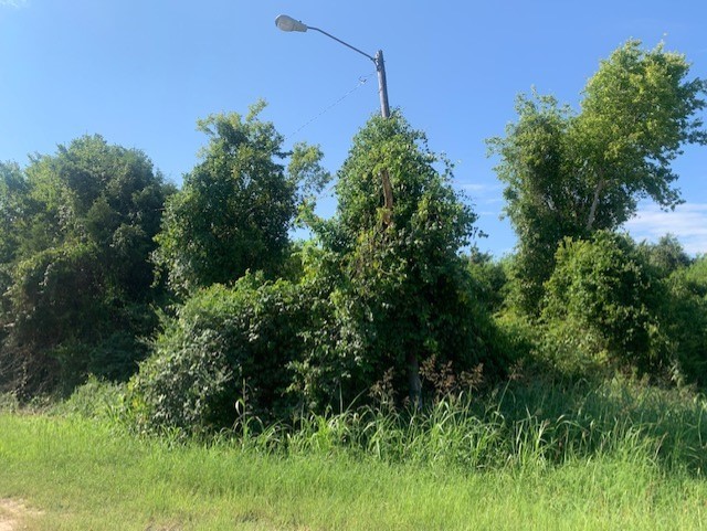 701 Blackshear Street Navasota, TX 77868 - Photo 4 of 7