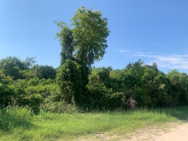 701 Blackshear Street Navasota, TX 77868 - Photo 5 of 7