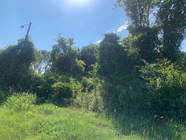 701 Blackshear Street Navasota, TX 77868 - Photo 6 of 7