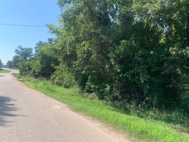 701 Blackshear Street Navasota, TX 77868 - Photo 7 of 7