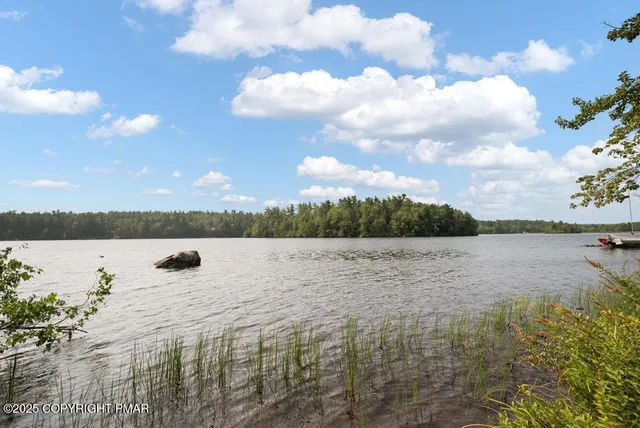 a bedroom with furniture and a fireplace