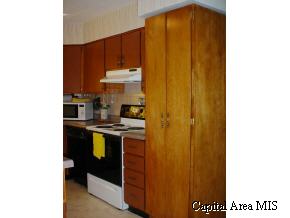 42 Pinto Drive Springfield, IL 62702 - Photo 4 of 9