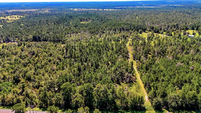a view of a green field