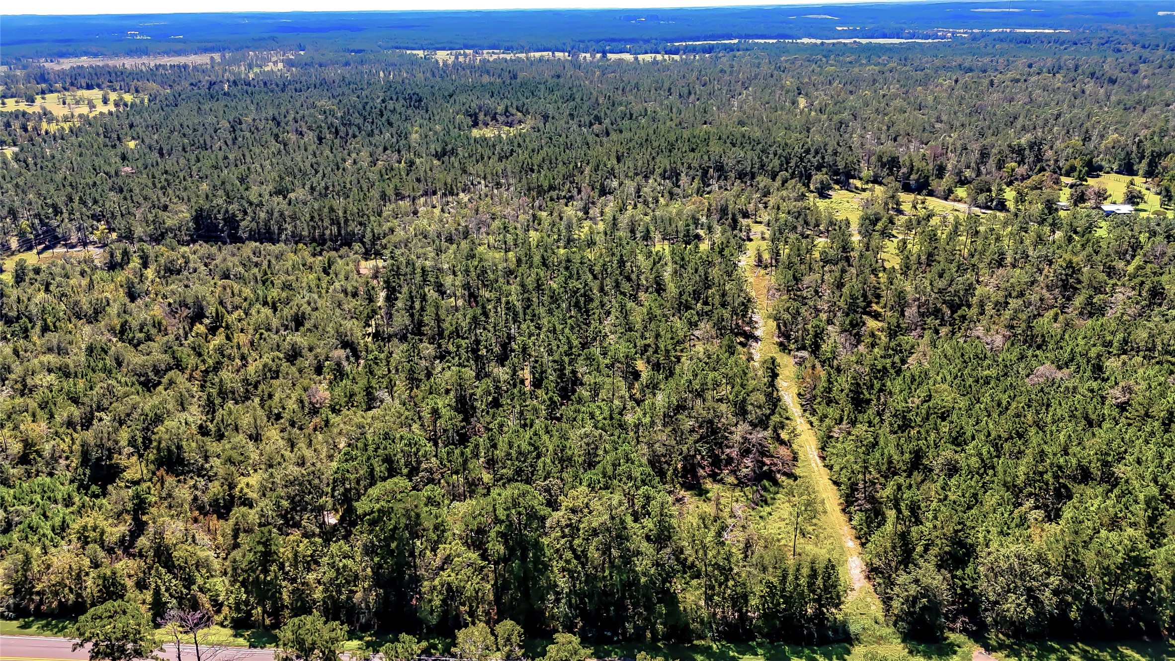 287 Corrigan Tx 75939 Corrigan, TX 75939 - Photo 12 of 24 a view of a green field