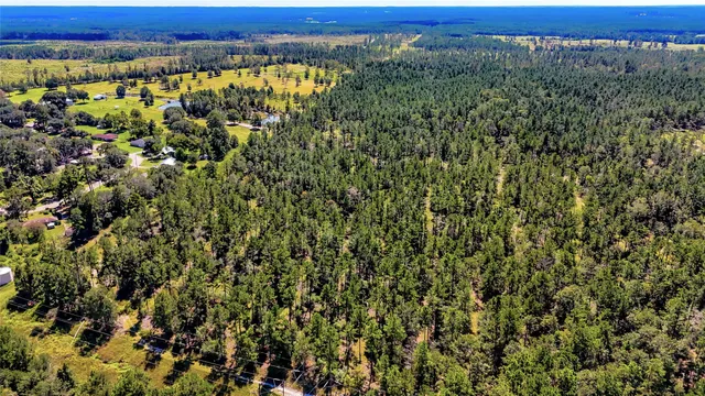 a view of a green field