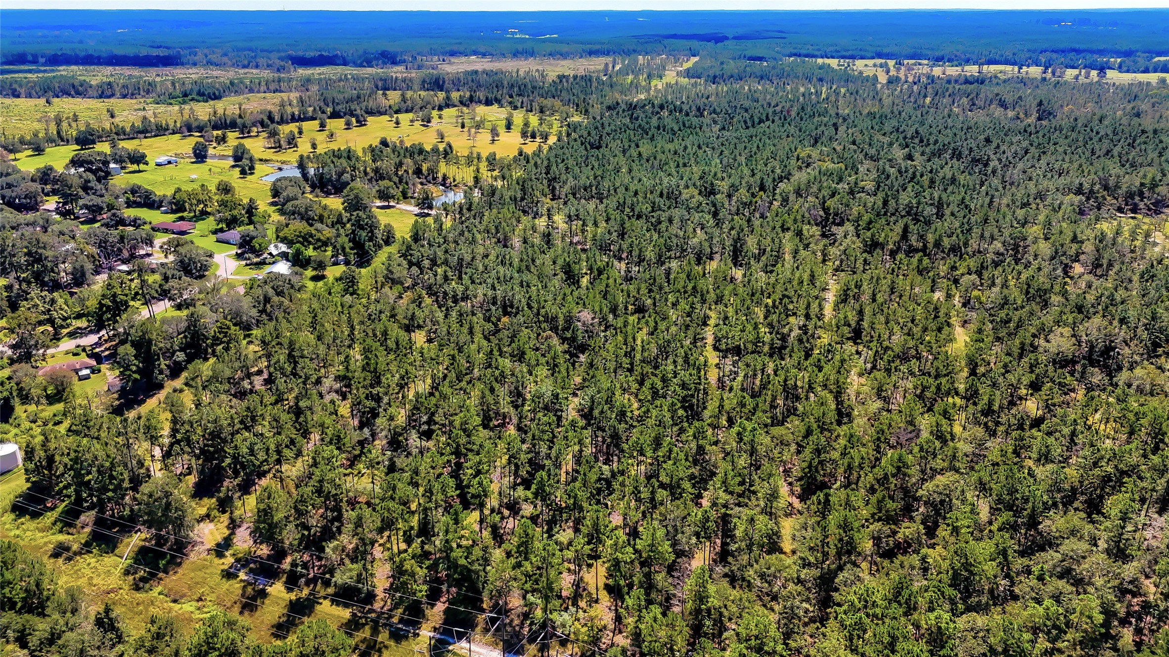 287 Corrigan Tx 75939 Corrigan, TX 75939 - Photo 13 of 24 a view of a green field
