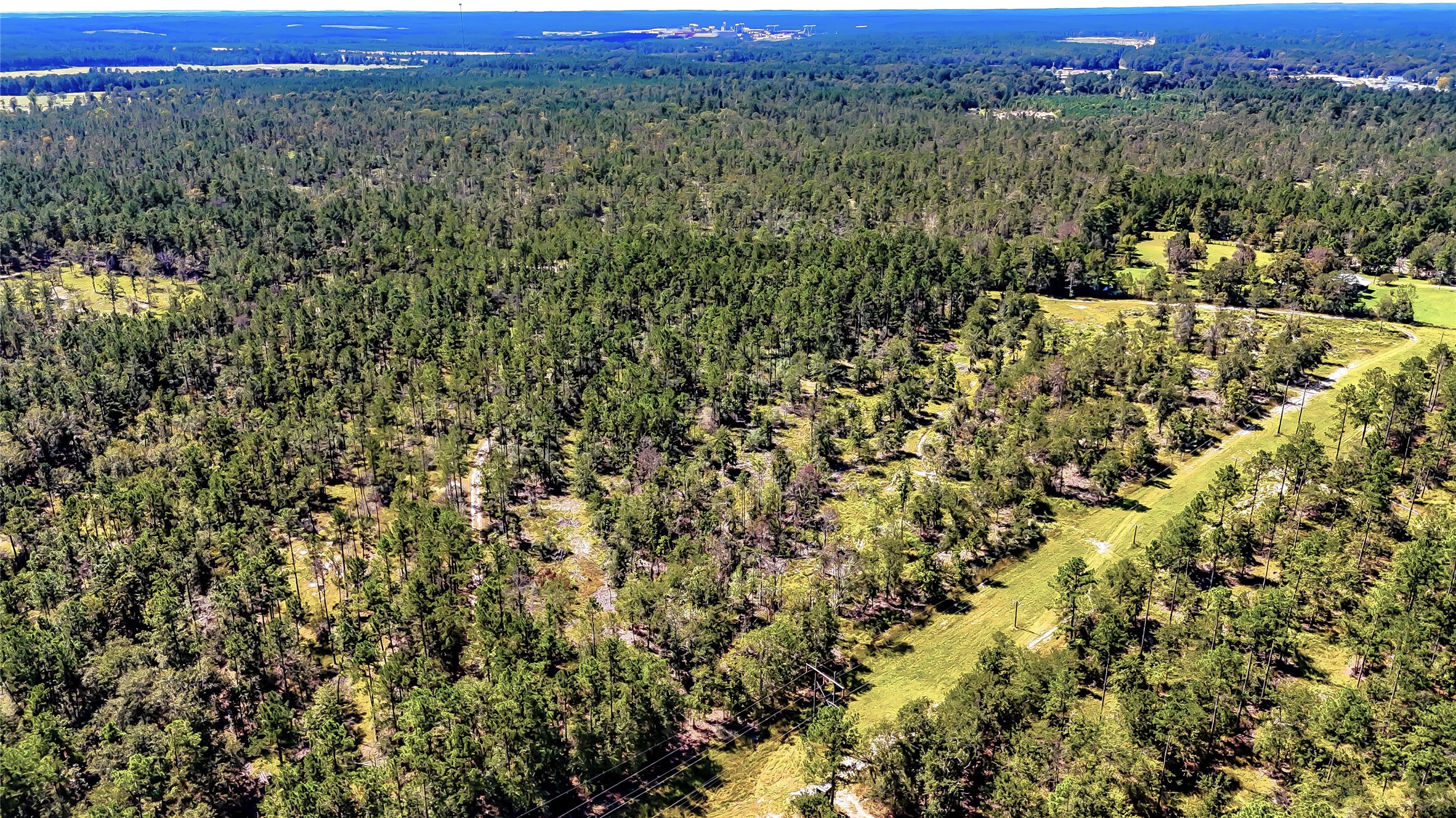 287 Corrigan Tx 75939 Corrigan, TX 75939 - Photo 14 of 24 a view of a green field