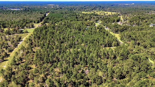 a view of a city with lush green forest