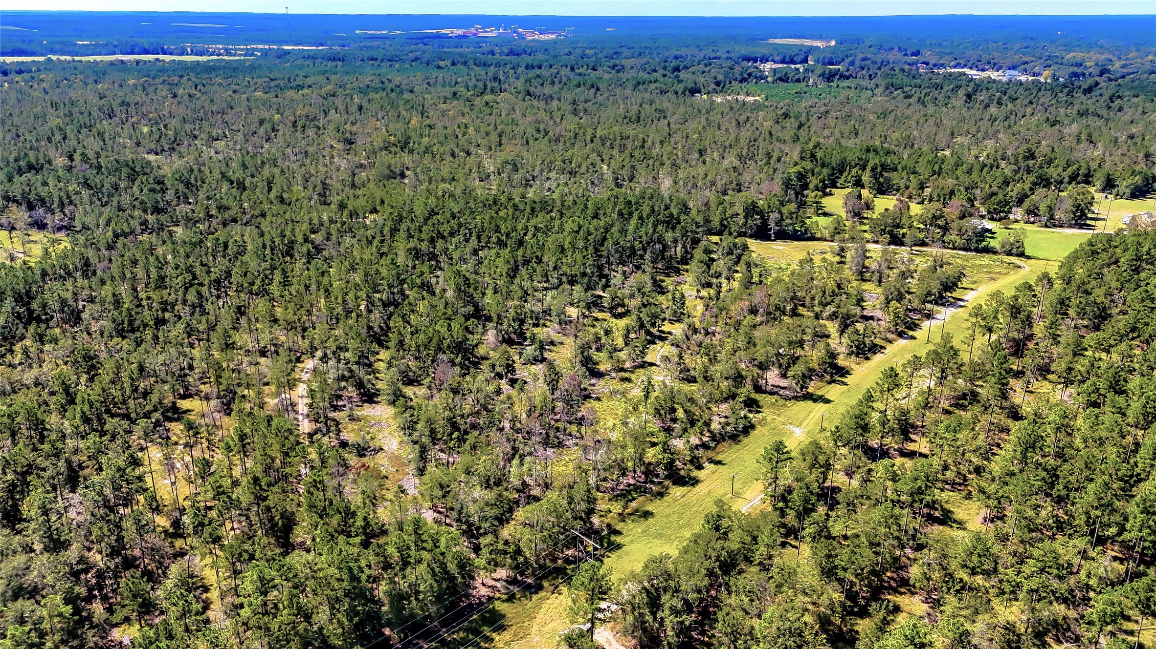 287 Corrigan Tx 75939 Corrigan, TX 75939 - Photo 16 of 24 a view of a city with lush green forest