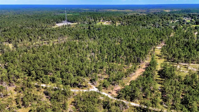 a view of a city with lush green forest