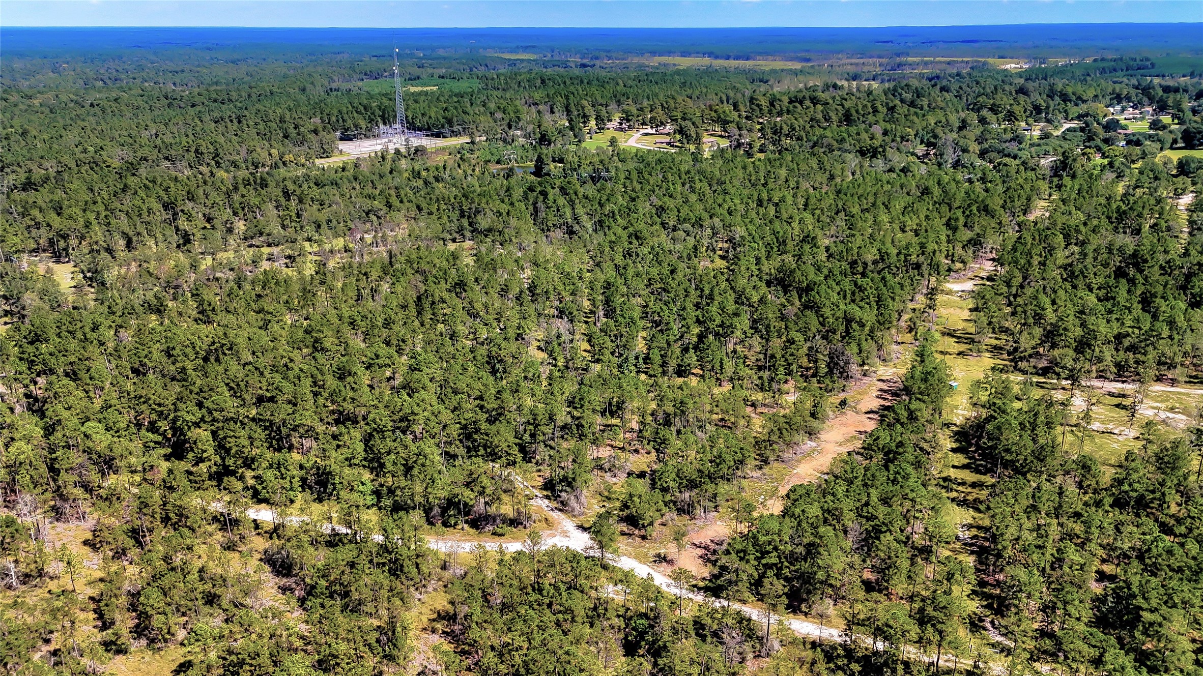 287 Corrigan Tx 75939 Corrigan, TX 75939 - Photo 19 of 24 a view of a green field with lots of bushes