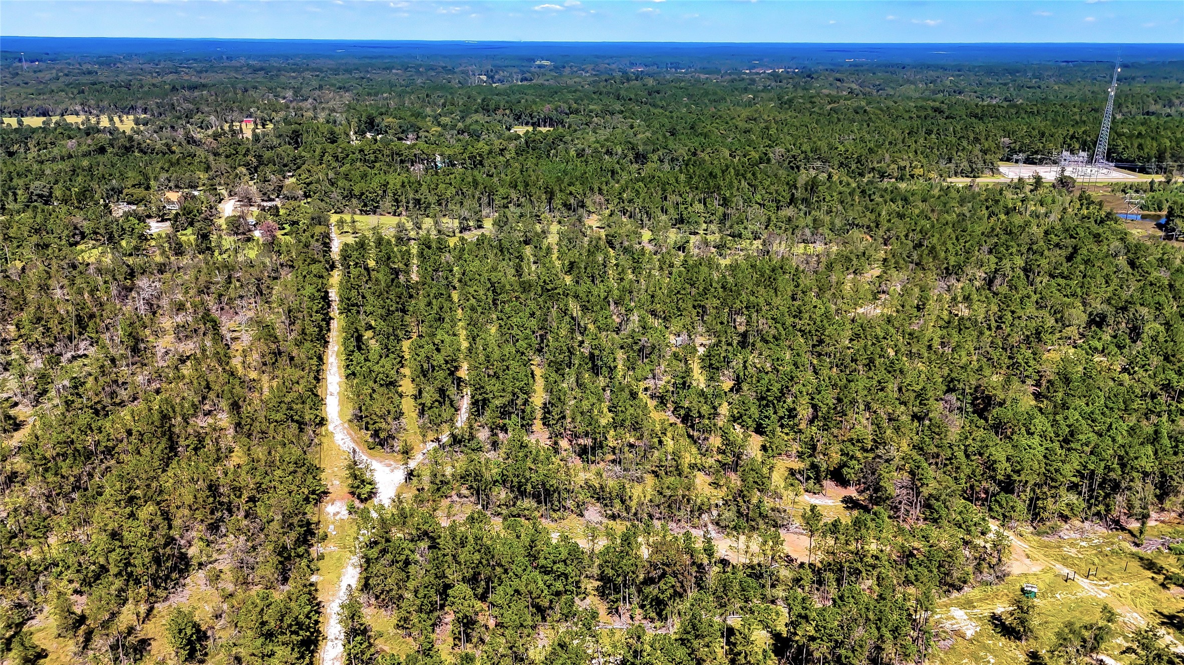 287 Corrigan Tx 75939 Corrigan, TX 75939 - Photo 20 of 24 a view of a city with lush green forest