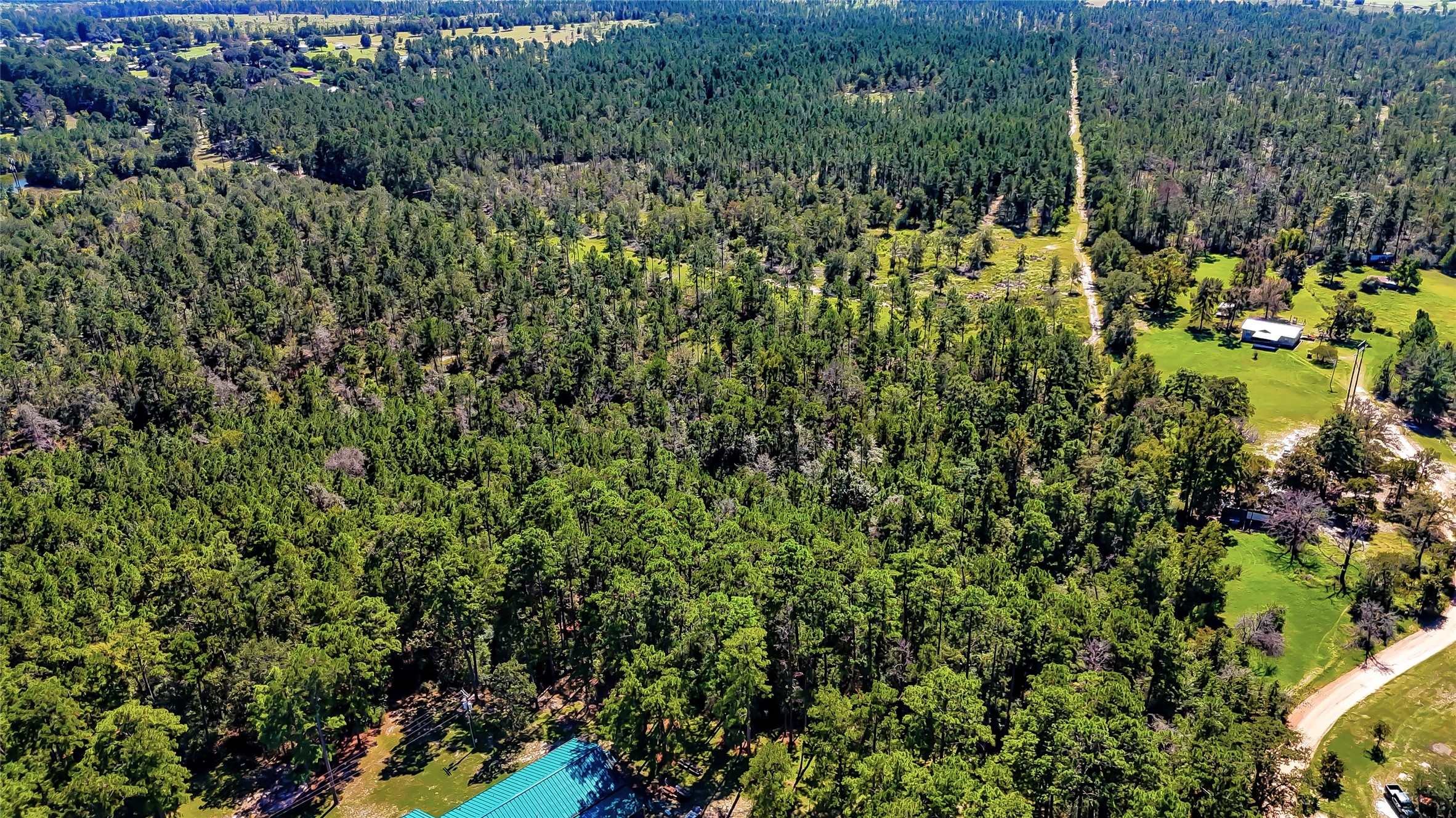 287 Corrigan Tx 75939 Corrigan, TX 75939 - Photo 2 of 24 a view of a garden with plants