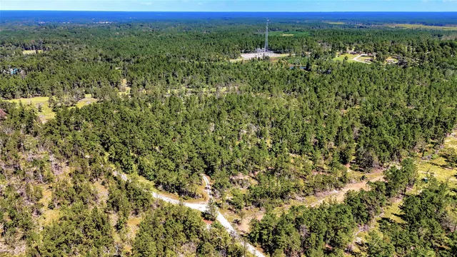 a view of a green field with lots of bushes