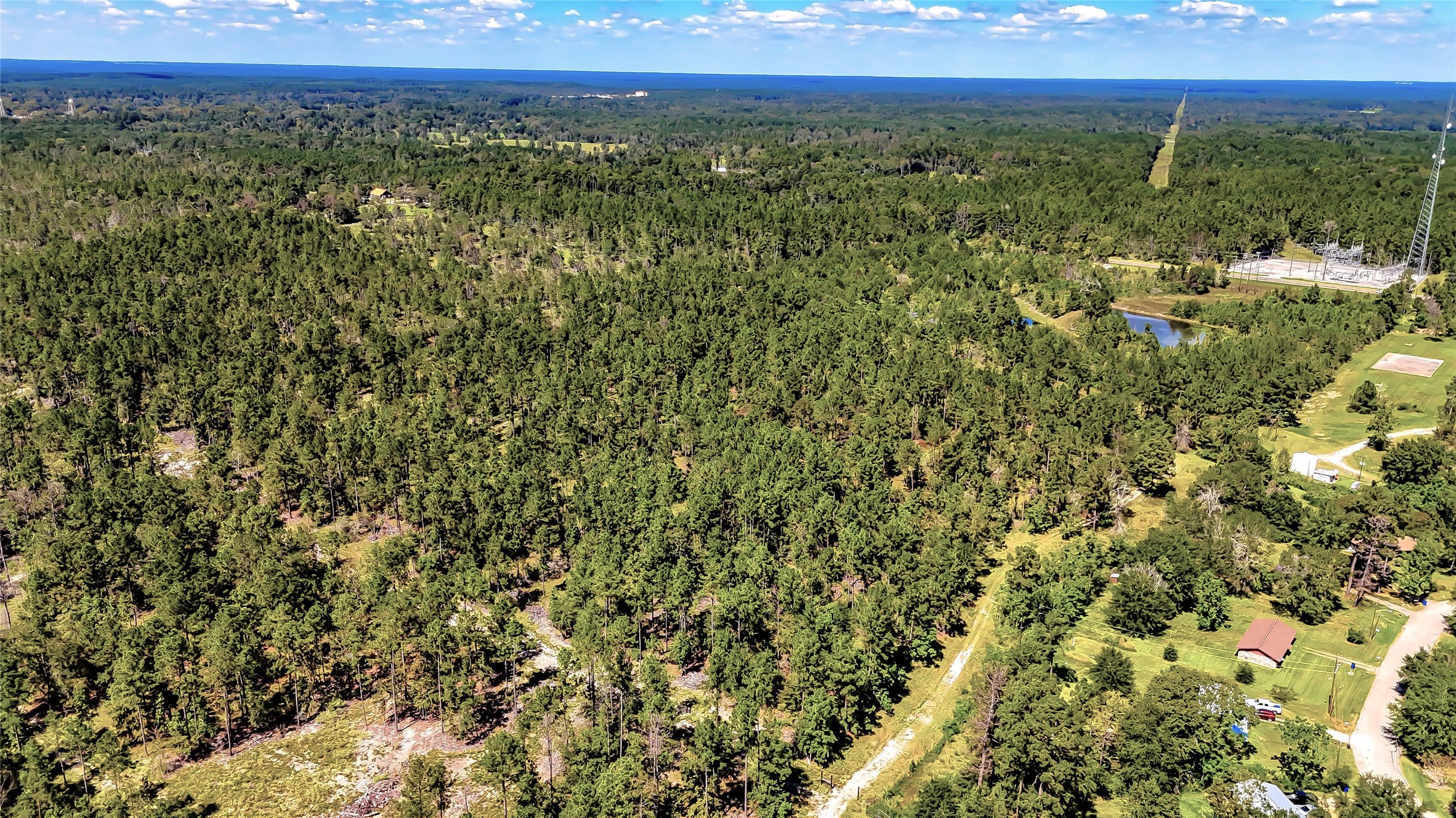 287 Corrigan Tx 75939 Corrigan, TX 75939 - Photo 22 of 24 a view of a green field with lots of bushes