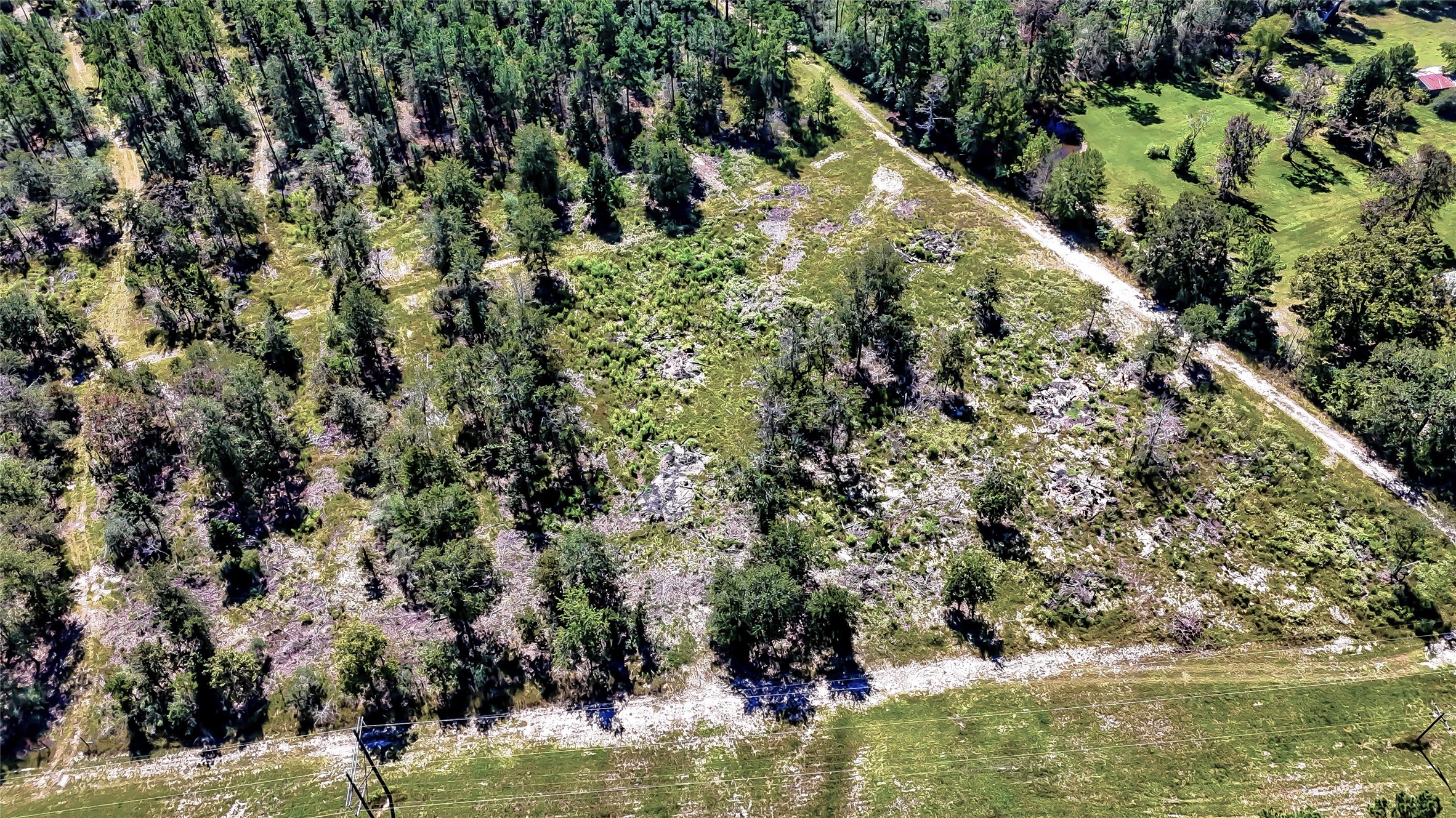 287 Corrigan Tx 75939 Corrigan, TX 75939 - Photo 23 of 24 a view of a lake with a tree