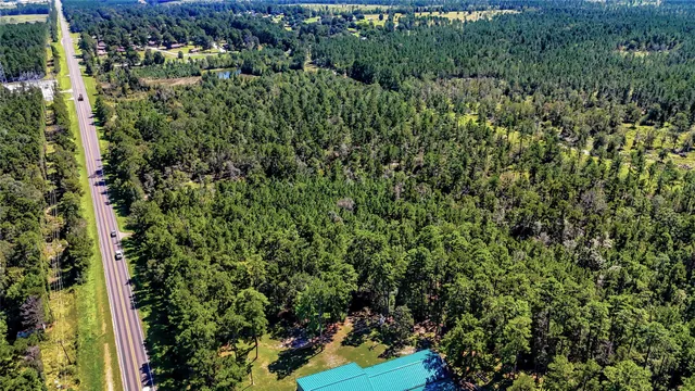 a view of a yard with plants