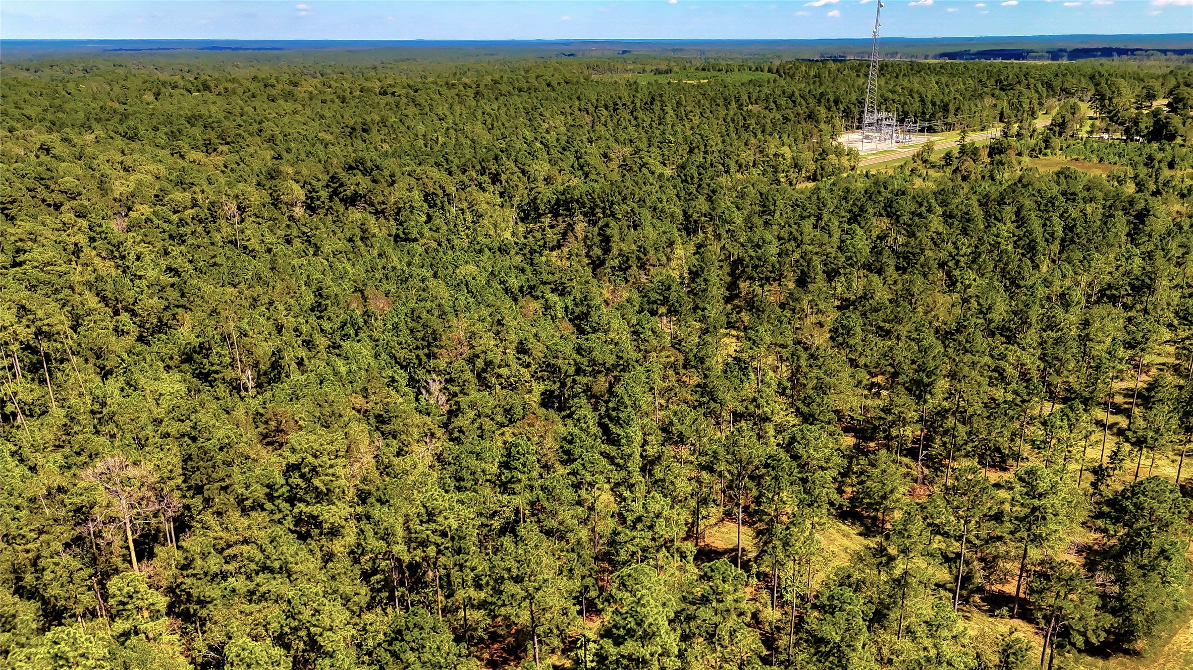 287 Corrigan Tx 75939 Corrigan, TX 75939 - Photo 6 of 24 a view of a field with an outdoor space