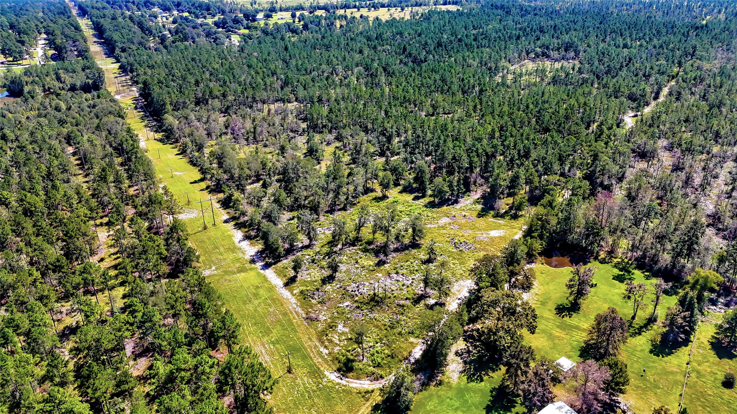 287 Corrigan Tx 75939 Corrigan, TX 75939 - Photo 7 of 24 a view of a garden
