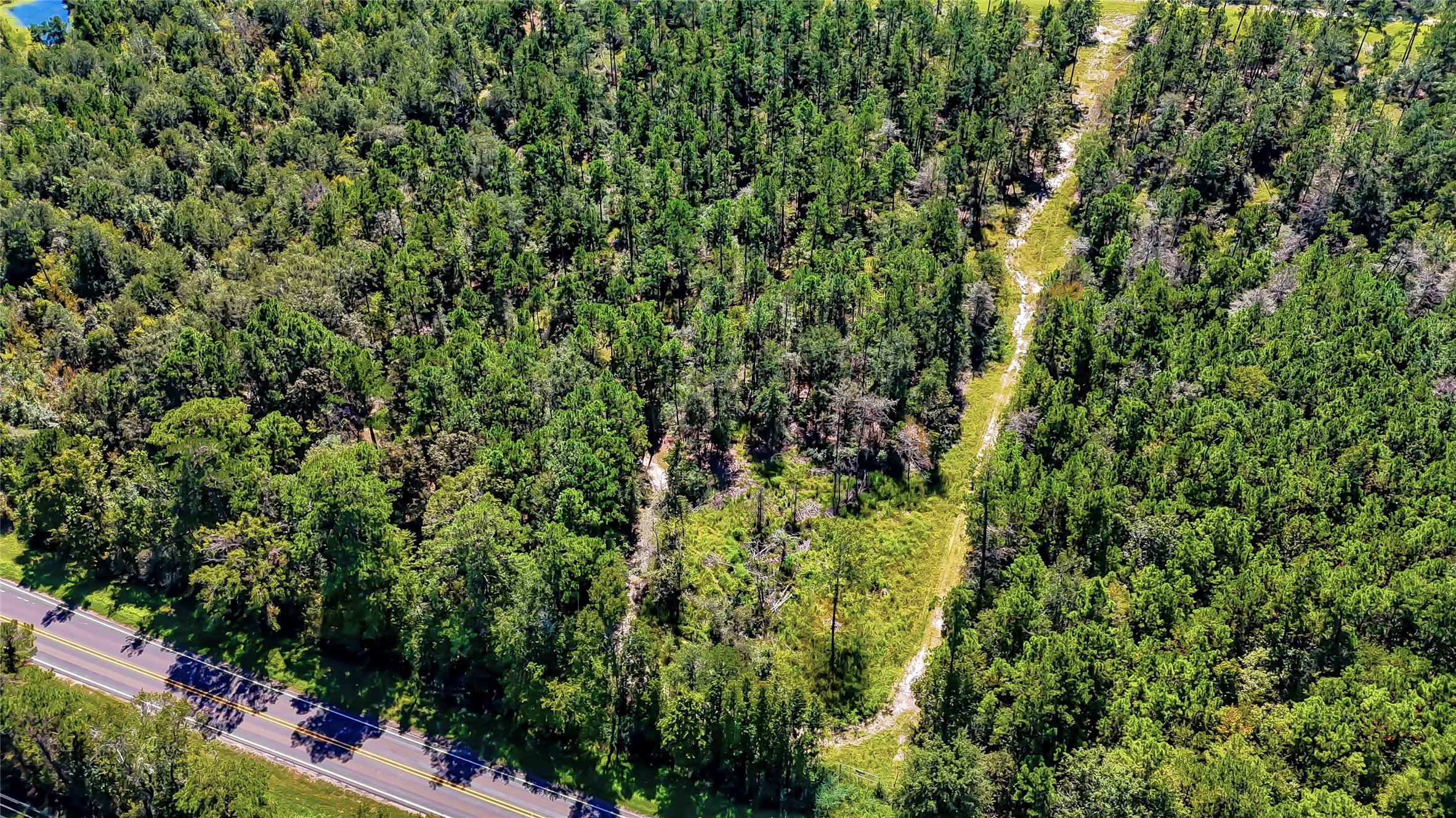 287 Corrigan Tx 75939 Corrigan, TX 75939 - Photo 10 of 24 a view of a garden with plants