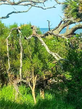 $318,000 | 1175 North Beachview Drive North, Unit 501, Jekyll Island, GA 31527